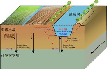 ˮѭ������ģ��